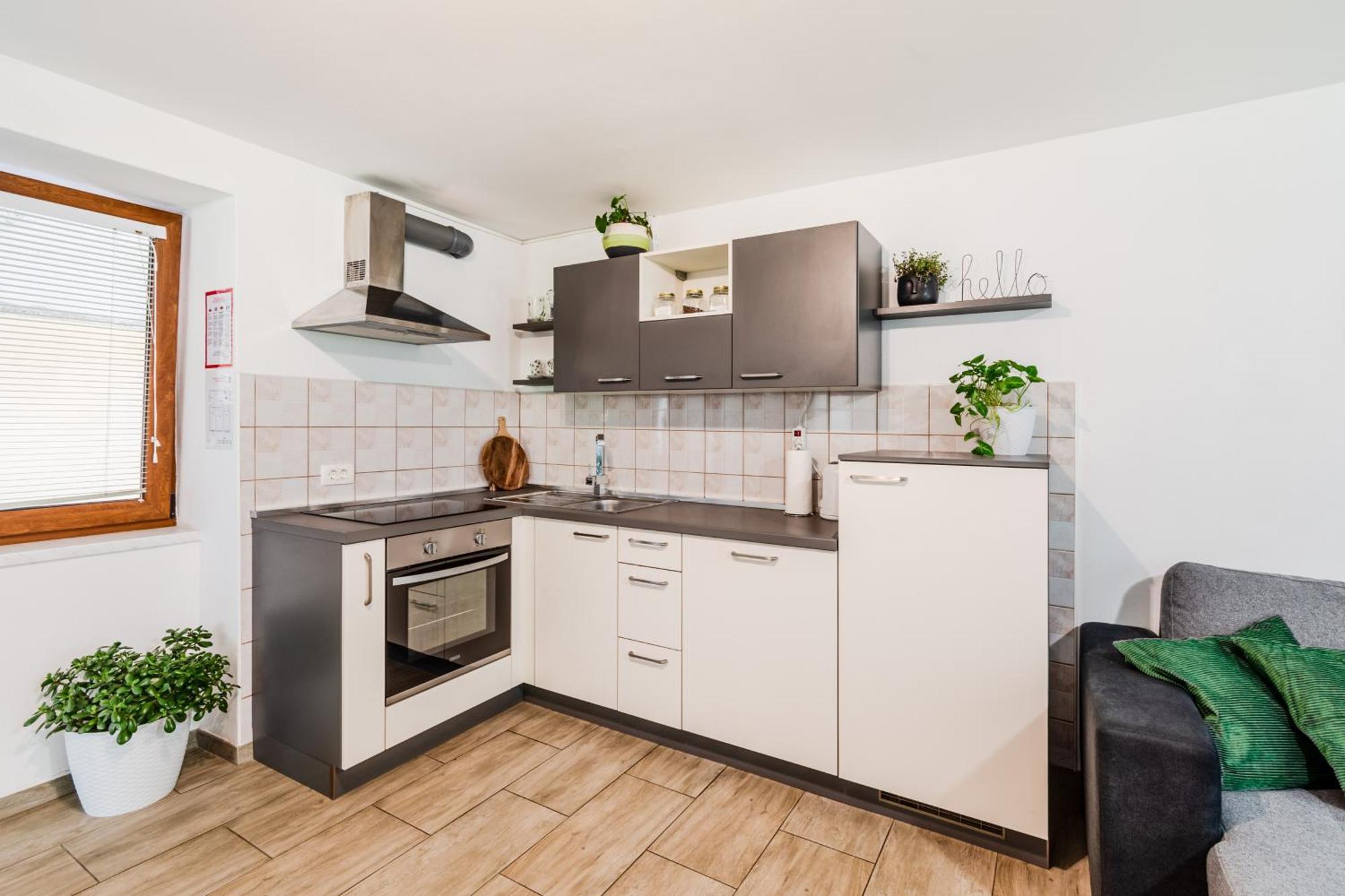 Apartmaji Mausi Bovec Extérieur photo
